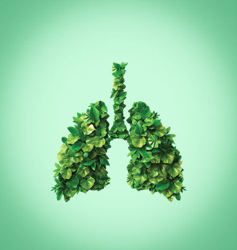 department of pulmonology